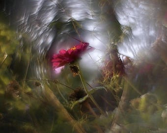 Petzval lens Helios 44M 58mm f/2 M42 KMZ Swirly Bokeh