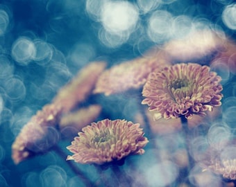 Helios 44M 58mm F2 Cine Mod Lens, Swirly Bokeh Vintage Soviet Lens for Sony Canon Fuji M42