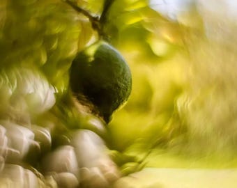 Modified Helios 44M 58mm F2 Petzval Effect Lens vintage lens, M42 Mount.