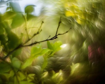 Petzval Swirly Bokeh Lens – Modified Helios-44 M, 58mm F/2