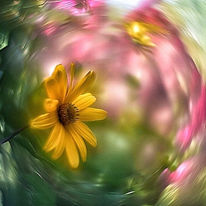 Objetivo Petzval Swirly Bokeh – Helios-44 M modificado, 58 mm F/2