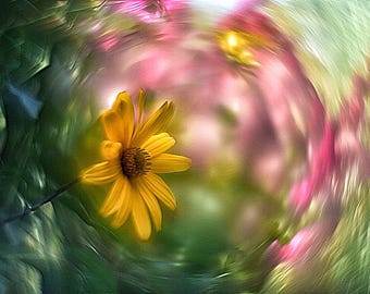 Petzval Swirly Bokeh Lens – Modified Helios-44 M, 58mm F/2