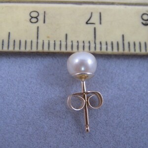 Small Pearl Stud Earrings, Freshwater Cultured Cream Pearl, 14K gold filled, Gift for Bridesmaids, Wedding jewelry image 4