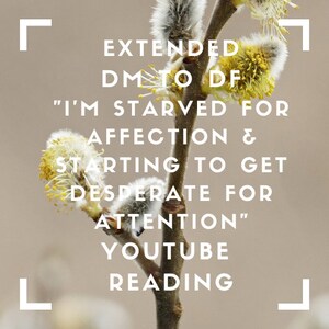 Puede incluir: Primer plano de una rama con amentos amarillos, con el texto "EXTENDED DM TO DF "I'M STARVED FOR AFFECTION & STARTING TO GET DESPERATE FOR ATTENTION" YOUTUBE READING" en blanco.
