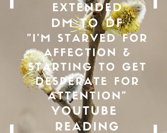 Extended 'Twin Flames: DM to DF "I'm Starved For Affection & Starting To Get Desperate For Attention!"' Youtube Reading - April 3 2021