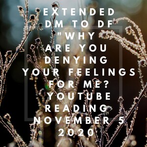 Puede incluir: Primer plano de una superposición de texto sobre un fondo borroso de ramas heladas. El texto dice "EXTENDED DM TO DF "WHY ARE YOU DENYING YOUR FEELINGS FOR ME? YOUTUBE READING NOVEMBER 5 2020".