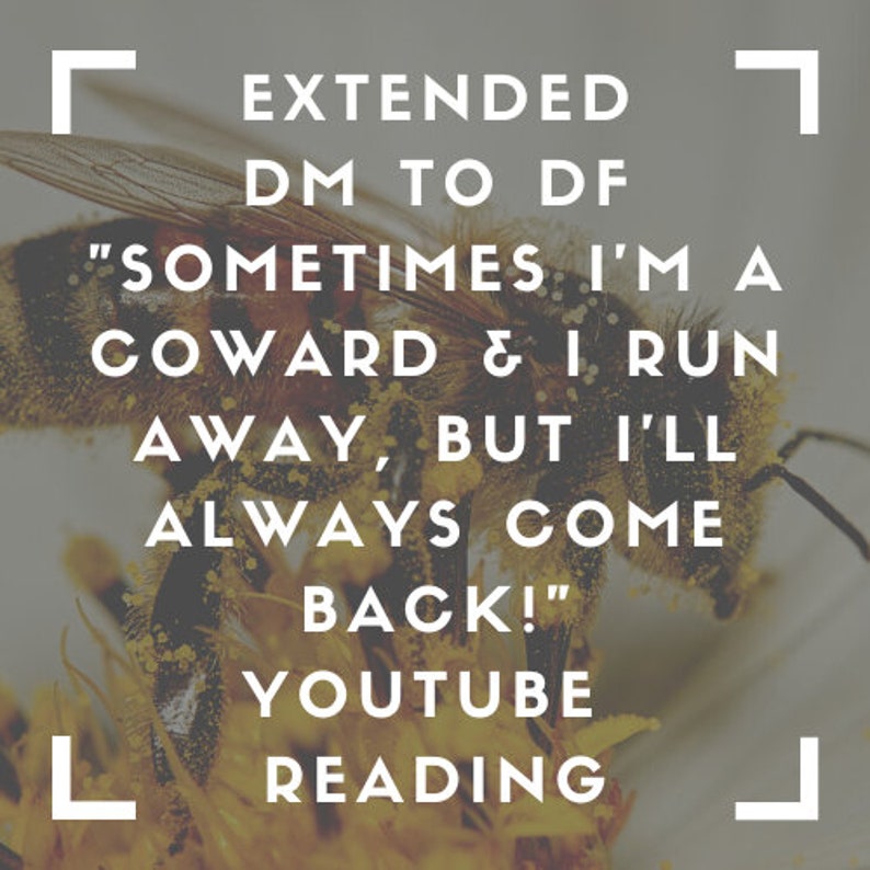 Puede incluir: Primer plano de una abeja en una flor amarilla. La abeja est&aacute; mirando hacia el lado derecho de la imagen. El texto "EXTENDED DM TO DF" est&aacute; en la parte superior de la imagen. El texto "SOMETIMES I'MA COWARD & I RUN AWAY, BUT I'LL ALWAYS COME BACK!" est&aacute; en el medio de la imagen. El texto "YOUTUBE READING" est&aacute; en la parte inferior de la imagen.