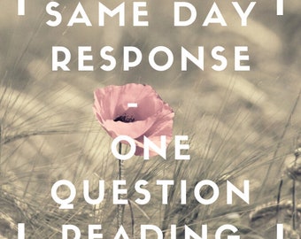 Respuesta el mismo día: lectura de una pregunta.