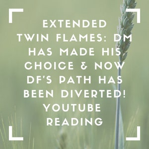 Könnte beinhalten: Ein grüner Hintergrund mit einem weißen Textüberlagerung, der "EXTENDED TWIN FLAMES: DM HAS MADE HIS CHOICE & NOW DF'S PATH HAS BEEN DIVERTED! YOUTUBE READING" lautet, mit einem weißen quadratischen Rahmen um den Text. Ein einzelner Grashalm befindet sich in der Mitte des Bildes.