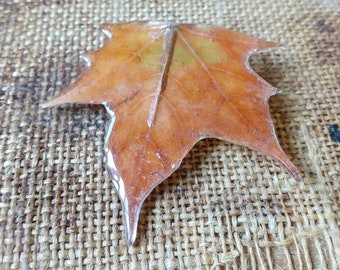 REAL LEAF  brooch