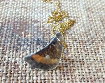 REAL BUTTERFLY wing necklace.