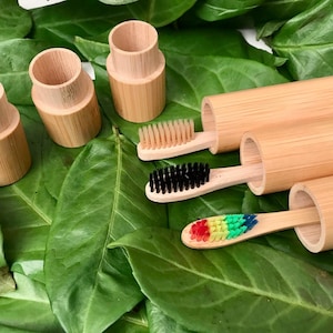 Può includere: Tre contenitori in bambù con coperchi, di cui due contengono spazzolini da denti in bambù con setole nere, bianche e arcobaleno. Gli spazzolini da denti sono su un letto di foglie verdi.