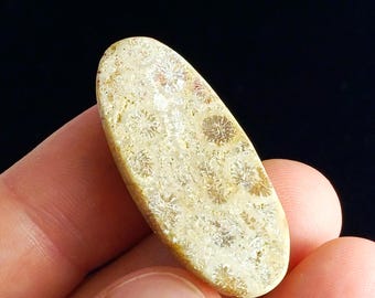 Coral Fossil Cabochon Oval 17.50 x 39.50 mm 6.60 gr | Natural Fossil Coral Cabochon | Jewelry Making Stone