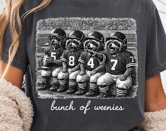 Raccoon Baseball Team PNG, Bunch of Weirdos Funny Friends Shirt Design, Sports Team Besties Tee, Baseball Squad Gift DTG