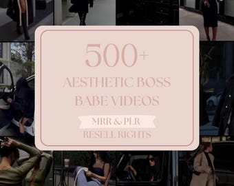 500+ Boss Babe Videos, PLR MRR (Digital Download)