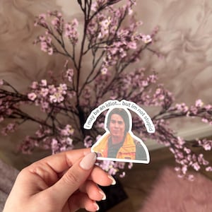 iCarly Sticker Pack | Nostalgic Meme Moments | Die-Cut Vinyl (Matte, Laminated, Holographic) image 4