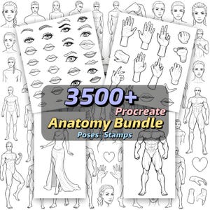 May include: A digital art bundle with anatomy references. The image features sketches of human figures, faces, hands, and body parts. The text on the image reads "3500+ Procreate Anatomy Bundle Poses Stamps."