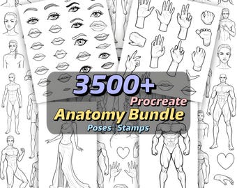 May include: A digital art bundle with anatomy references. The image features sketches of human figures, faces, hands, and body parts. The text on the image reads "3500+ Procreate Anatomy Bundle Poses Stamps."