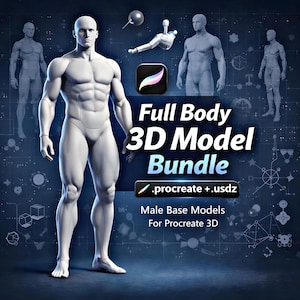 Procreate mannelijke 3D-modellenbundel – volledig lichaam, arm, been, romp – USDZ + .Procreate-bestanden – 3D-anatomiereferentie
