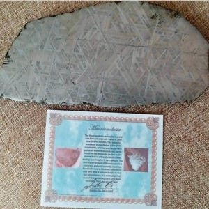 May include: A gray, irregularly shaped Muonionalusta meteorite with a distinctive crisscross pattern. The meteorite is displayed with a certificate that includes text and images, set against a brown textured background.
