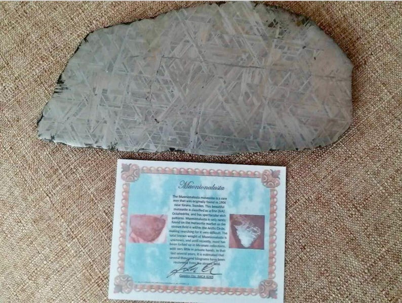 May include: A gray, irregularly shaped Muonionalusta meteorite with a distinctive crisscross pattern. The meteorite is displayed with a certificate that includes text and images, set against a brown textured background.