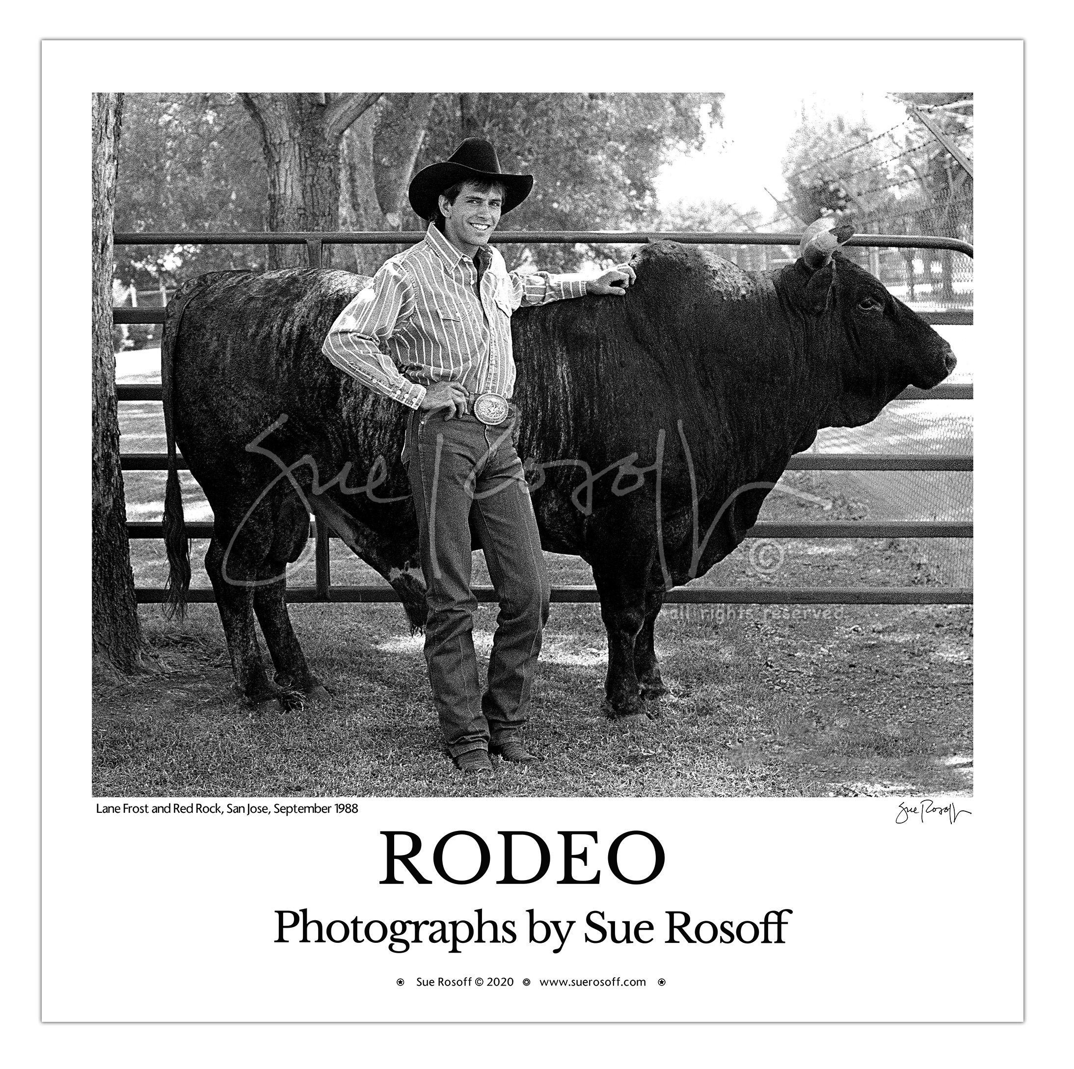 Lane Frost and Red Rock, September 1988, 20 X 20 Poster Print for Home,  Office, Western Store, Saloon, Man Cave, Tack Room, Restaurant - Etsy