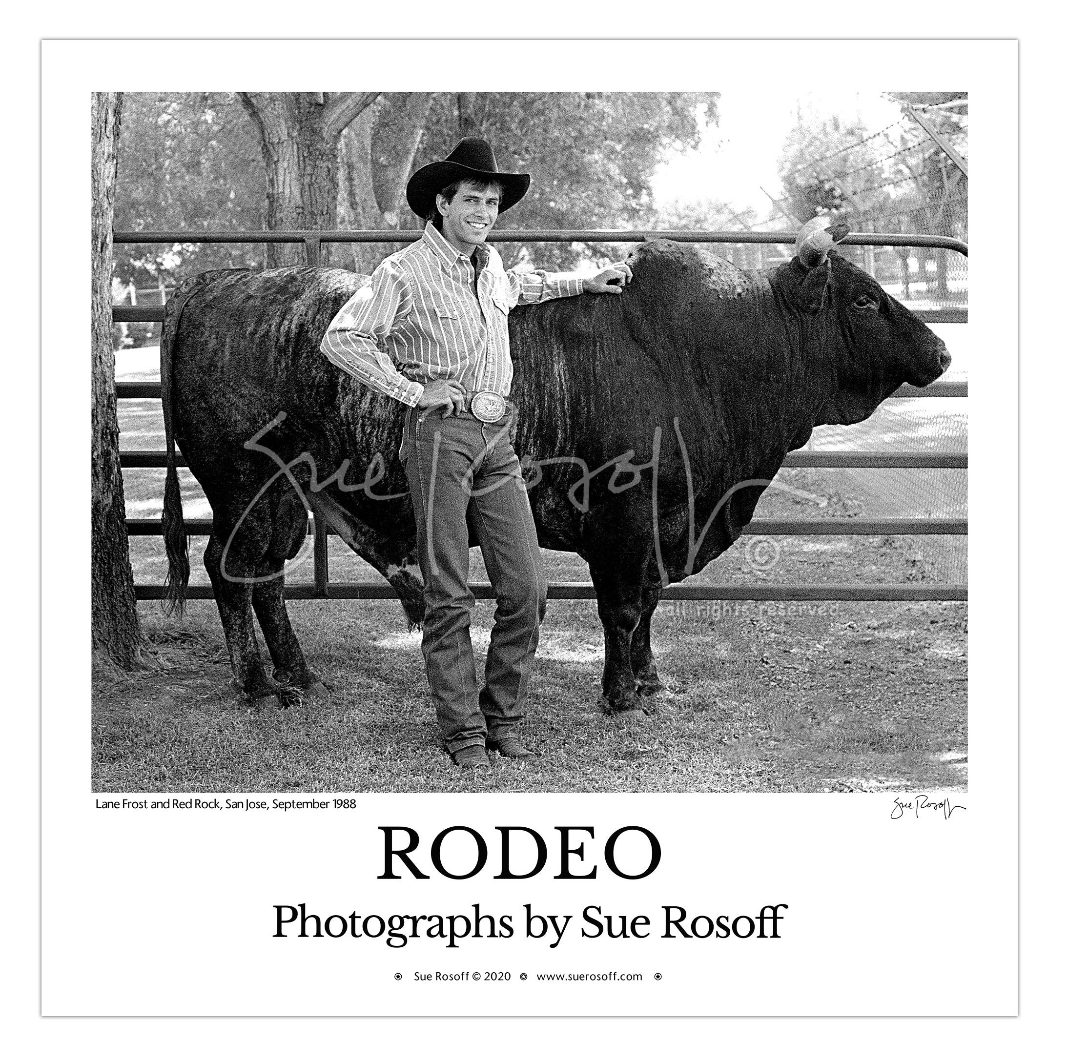 Lane Frost and Red Rock September 1988 30 X 30 Etsy