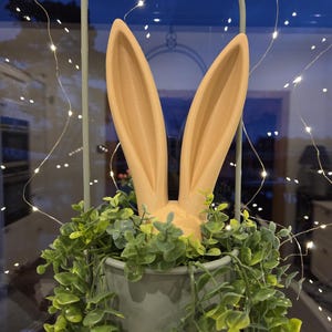 Puede incluir: Una decoración de Pascua con orejas y cabeza de conejo melocotón claro, que emerge de una maceta gris llena de follaje verde. La maceta está suspendida de un marco de metal. Luces de cadena en el fondo.