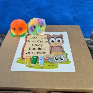 Quiet Critters Study Buddies - Set of 25: Teacher Gift, Classroom Aid, Literacy Tool-rainbow