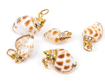 2 Natural Sea Shell Charms with gold plating and gold bail, leopard spots, about 3/4" long, cho0106