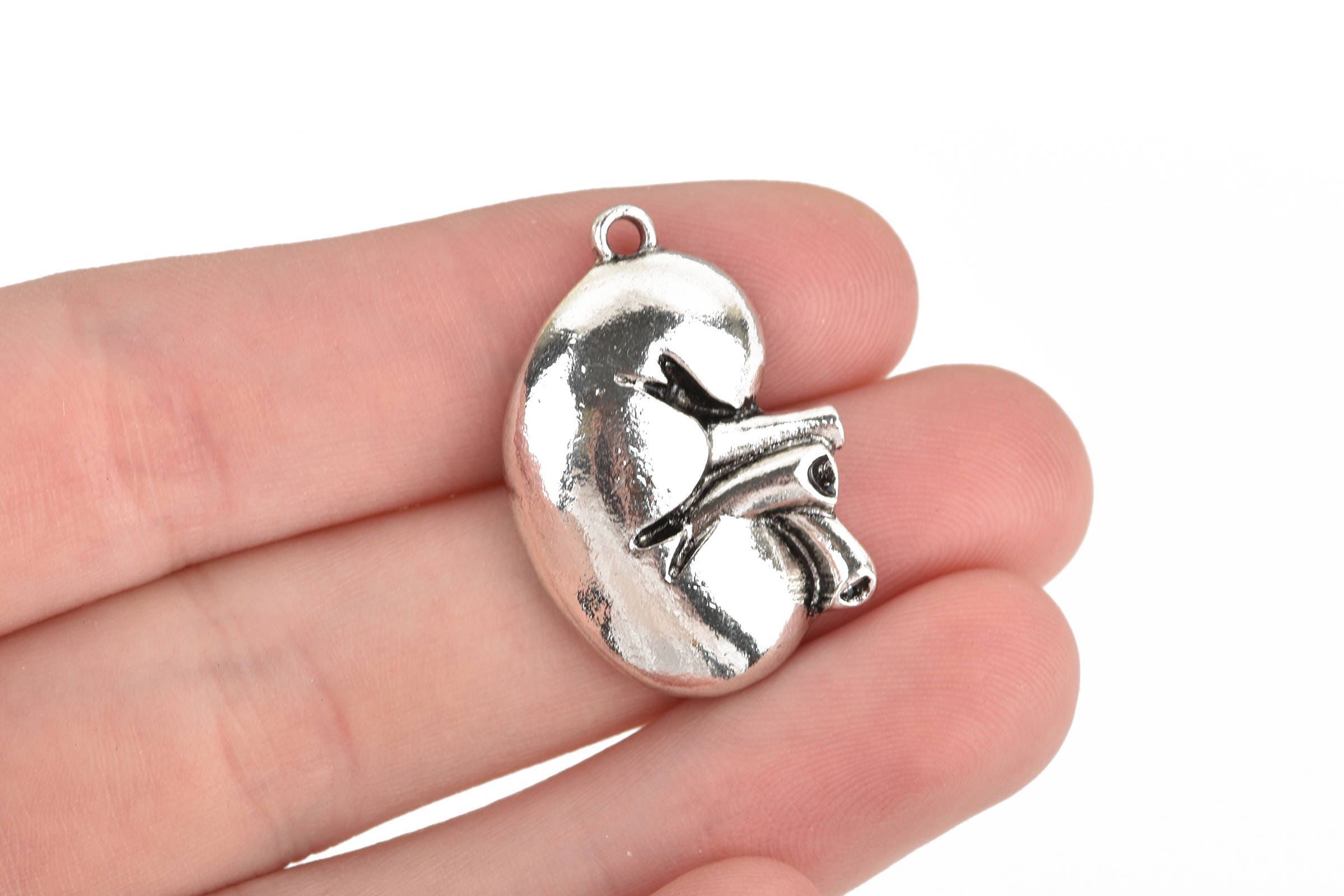 5 KIDNEY Charms Anatomical Body Parts Pewter Charm Pendant Etsy