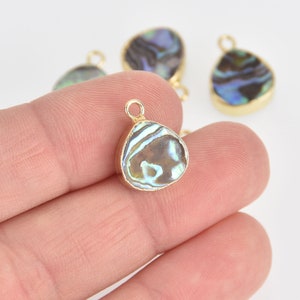 ABALONE SHELL Charm Teardrop gold bail 16x12mm chs7095