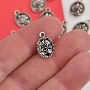 May include: Silver charm with a snake design. The charm is oval shaped and has a textured edge. The snake is curled up and has a small rhinestone in its eye.