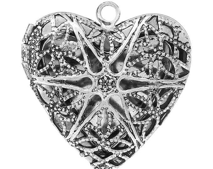 2 Silver Tone Picture Photo Locket Frame Pendants, Perfume Diffuser ...
