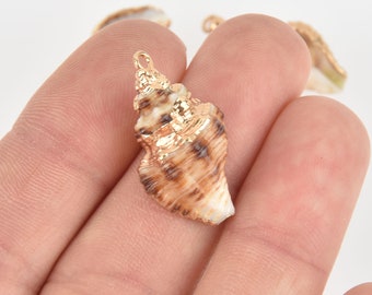 2 Natural Sea Shell Charms with gold plating, seashell, chs6210