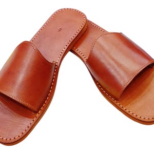 May include: A pair of brown leather sandals. The sandals have a simple design with a strap across the top and a stitched sole. The leather has a smooth texture and a warm, reddish-brown color.