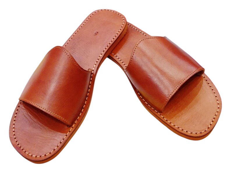 May include: A pair of brown leather sandals. The sandals have a simple design with a strap across the top and a stitched sole. The leather has a smooth texture and a warm, reddish-brown color.