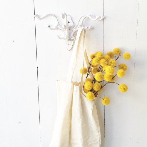 Cast Iron Wall Hook 5 Hook Wall Mount Shabby Whitefrench Etsy