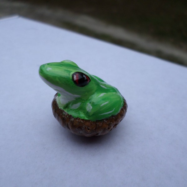 Miniature red eyed tree frog clay sculpture   Acorn Cap Cutie no ac41