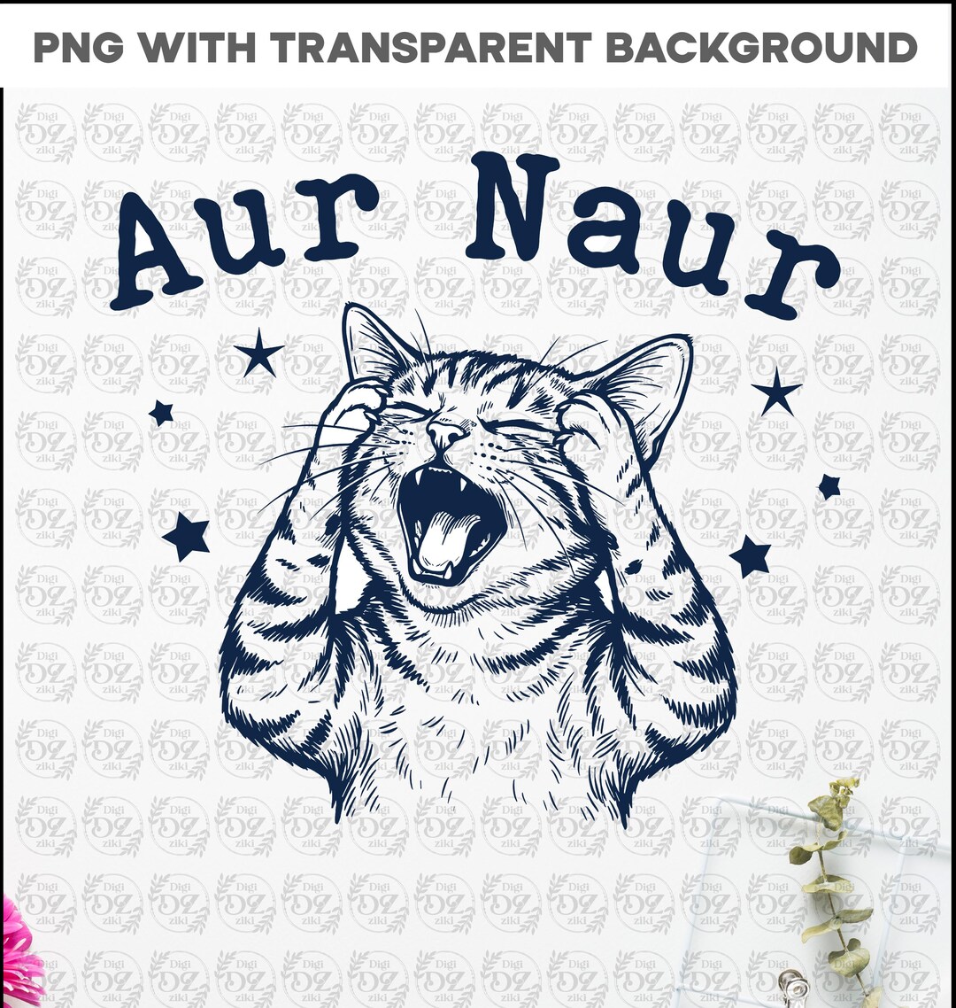 Aur Naur Cat Png Funny Australian Gifts Oh No Meme Instant Download - Etsy