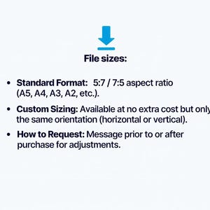 text that provides information about file sizes, including standard file formats, custom sizing options, and how to request adjustments.