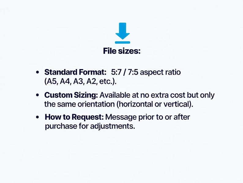 text that provides information about file sizes, including standard file formats, custom sizing options, and how to request adjustments.