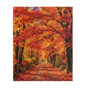 May include: A dirt path winds through a dense forest of tall trees with vibrant autumn foliage in shades of bright red, orange, and yellow. The ground is covered in a thick layer of fallen leaves, and the canopy creates a tunnel effect overhead.