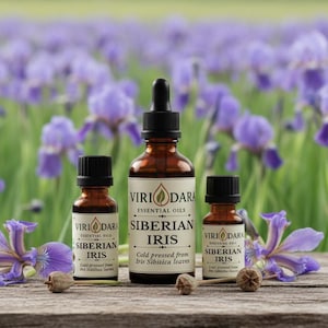 May include: Three amber glass bottles of Siberian Iris essential oil with black droppers and caps. The bottles are labeled "Viri Dara" and "Siberian Iris." The background features purple iris flowers and green foliage, creating a natural aesthetic.