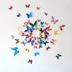 Realistic 3D Wall Butterflies set of 50 image 1