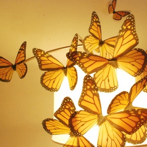 Mega Monarchs 7 inch Wingspan  Set of 20 image 2