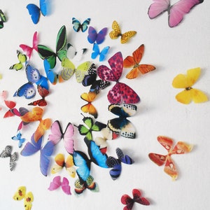 Realistic 3D Wall Butterflies set of 50 image 3