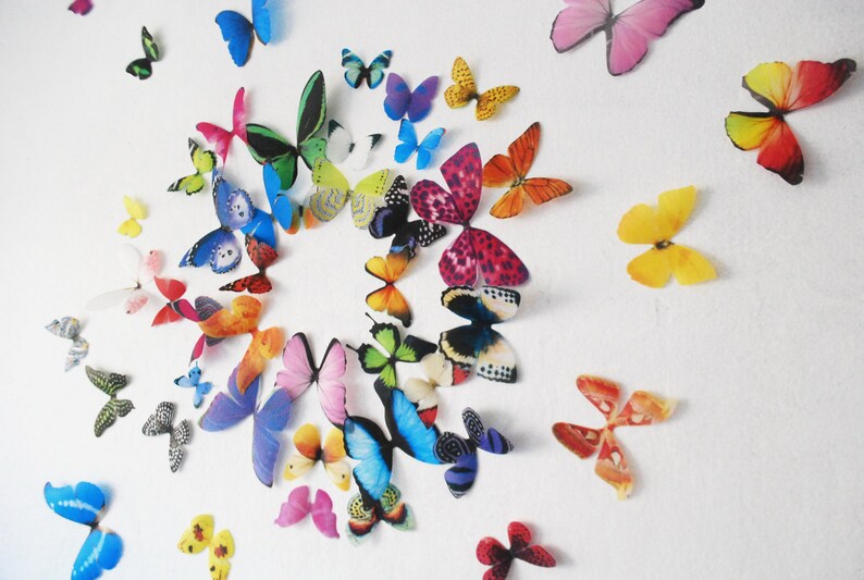 Realistic 3D Wall Butterflies set of 50 image 3