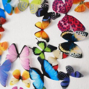 Realistic 3D Wall Butterflies set of 50 image 4