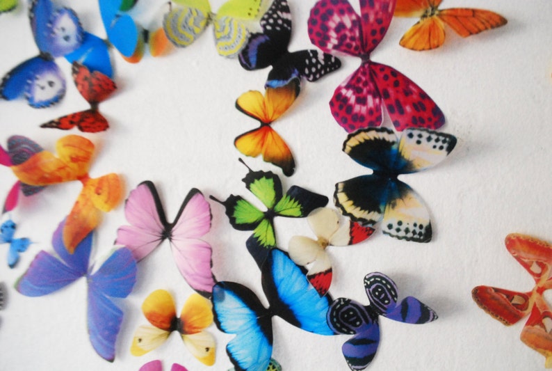 Realistic 3D Wall Butterflies set of 50 image 4